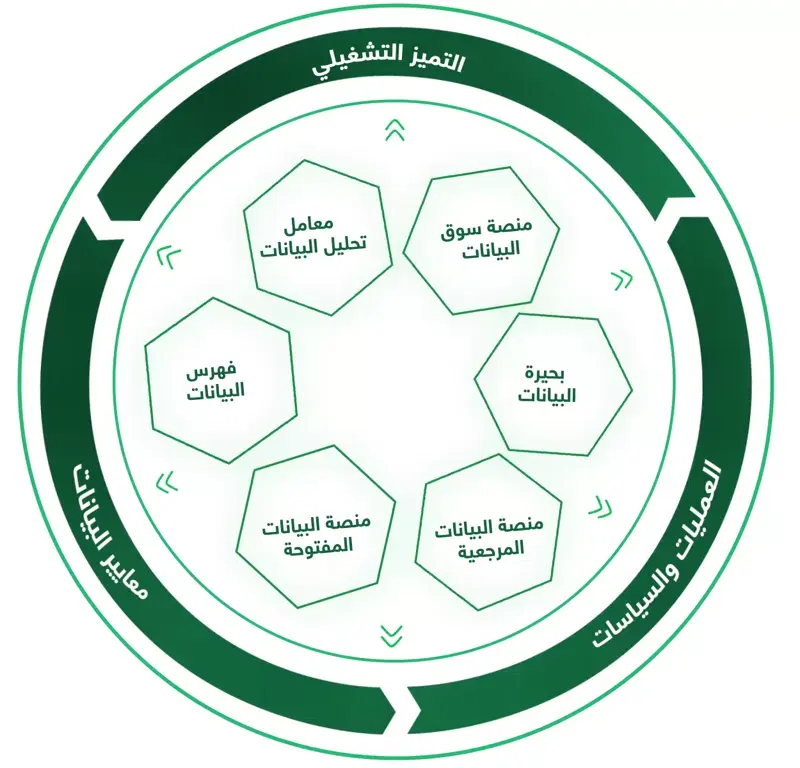 المقطع التعريفي لبنك البيانات الوطني